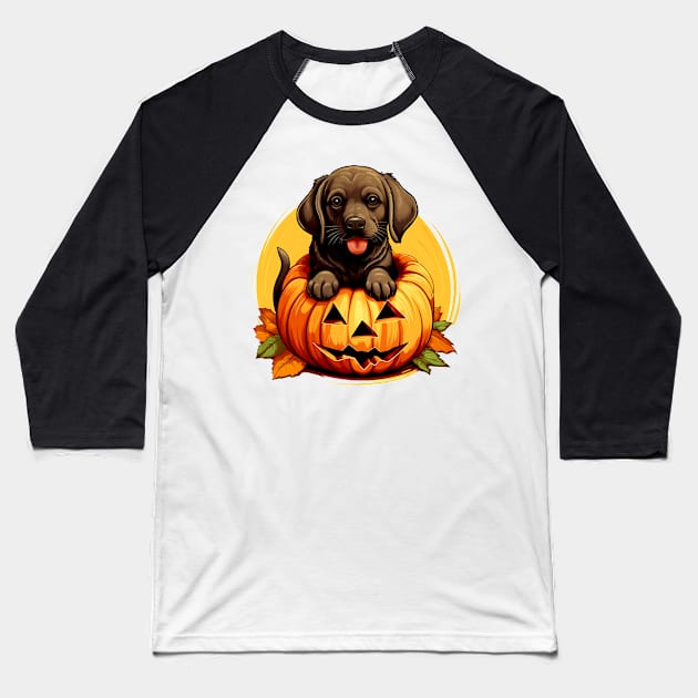 Labrador Retriever Dog inside Pumpkin #2 Baseball T-Shirt by Chromatic Fusion Studio